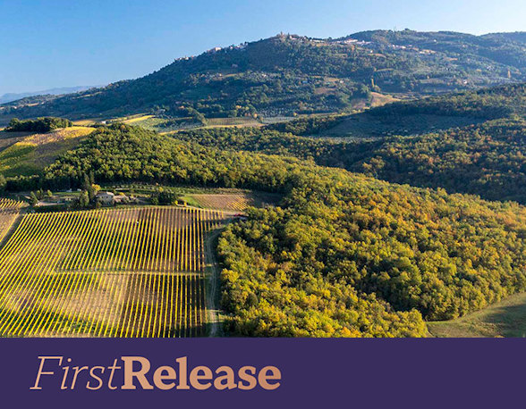 Brunello di Montalcino 2020