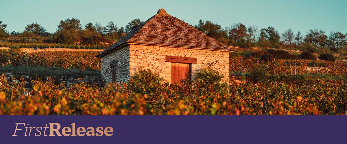 Vignoble des Cabottes 2023