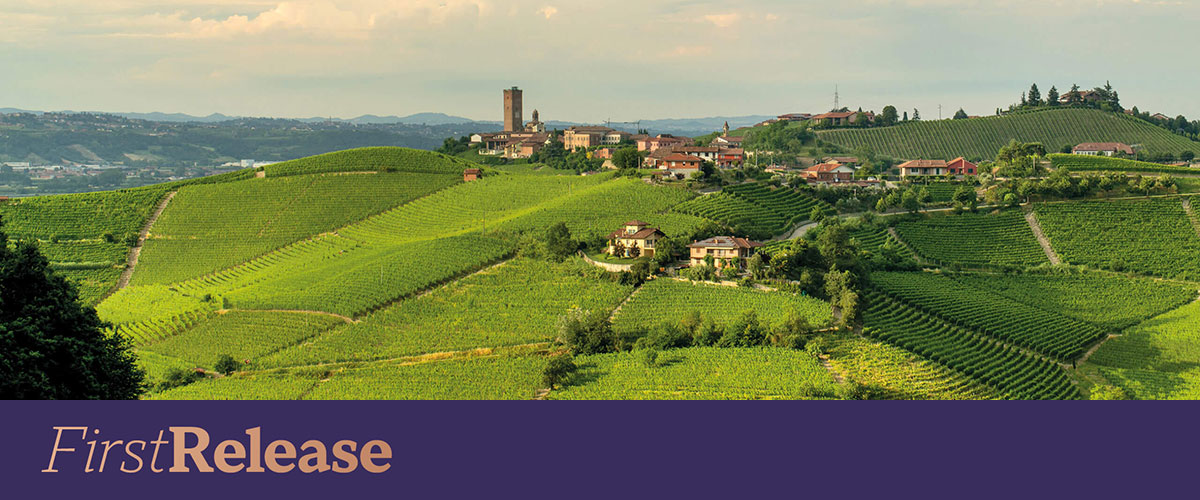 Gaja Barbaresco 2023