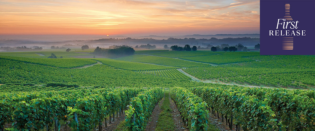 Domaine Laougué 2021