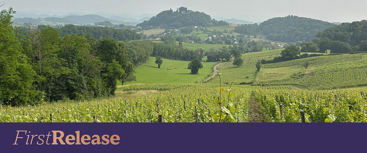 Domaine de Montbourgeau