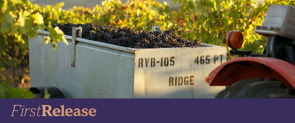 Ridge Green and Red Zinfandel 2023