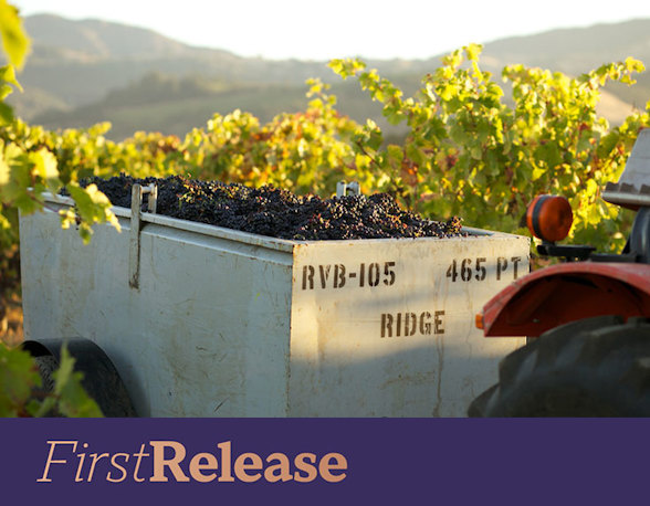Ridge Green and Red Zinfandel 2023