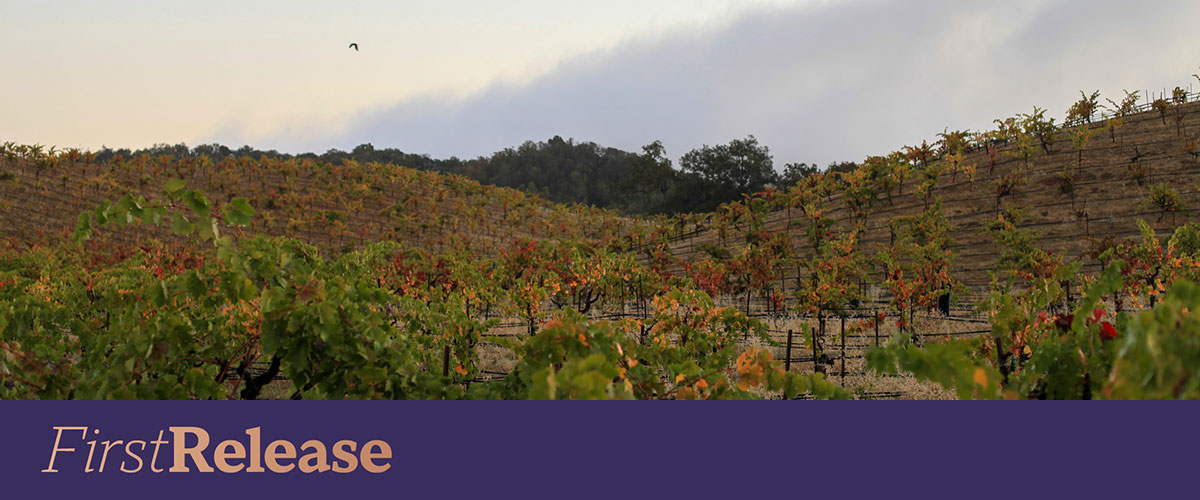 Ridge Ponzo Zinfandel 2022