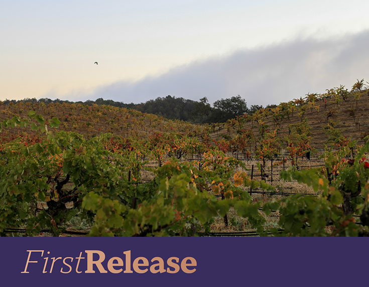 Ridge Ponzo Zinfandel 2022