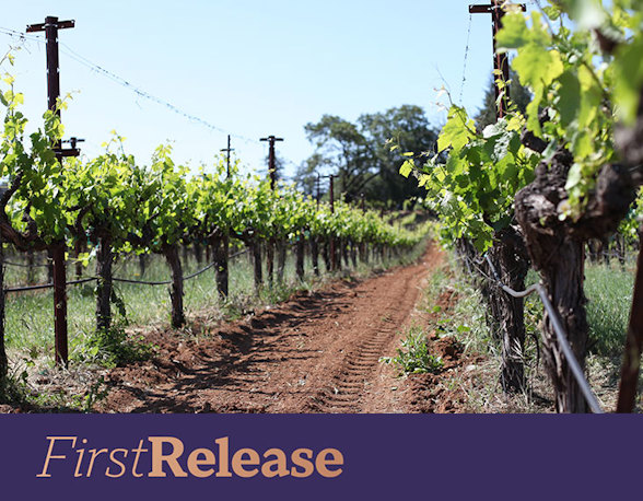 Ridge Grenache Blanc 2025