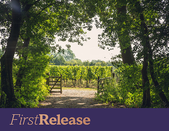 Ridgeview Blanc de Blancs Brut Late Release 2016