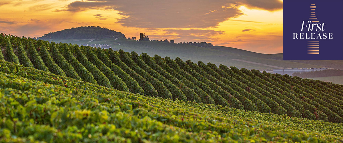 Champagne Taittinger 2013