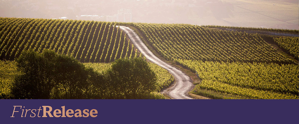 Taittinger Comtes de Champagne 2015