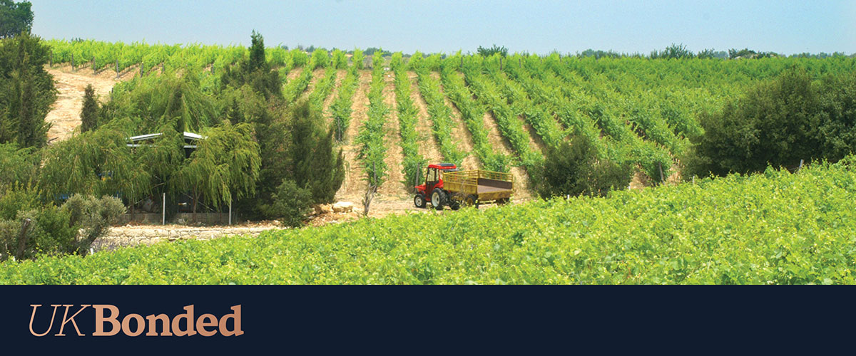 Domaine Bargylus, 2009-2013