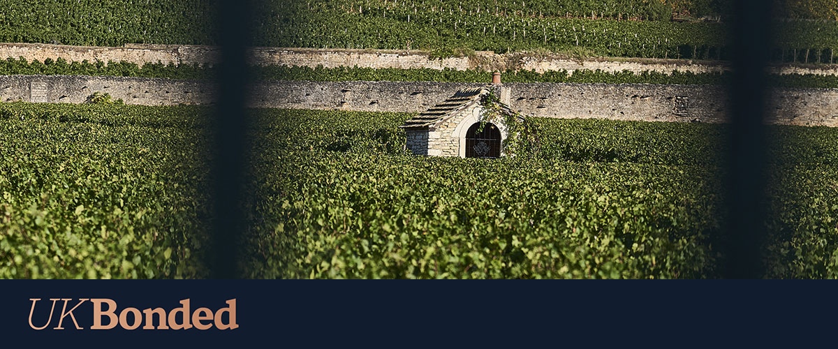 Domaine Gérard Quivy 2023