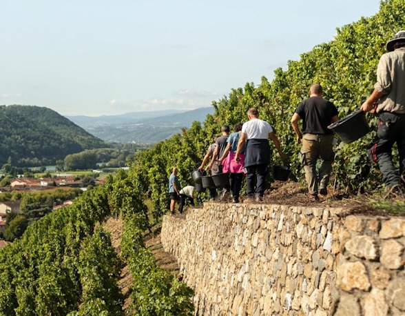 The Prestige Verticals of Chave & Gérin