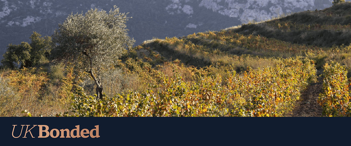 Domaine Tempier 2023