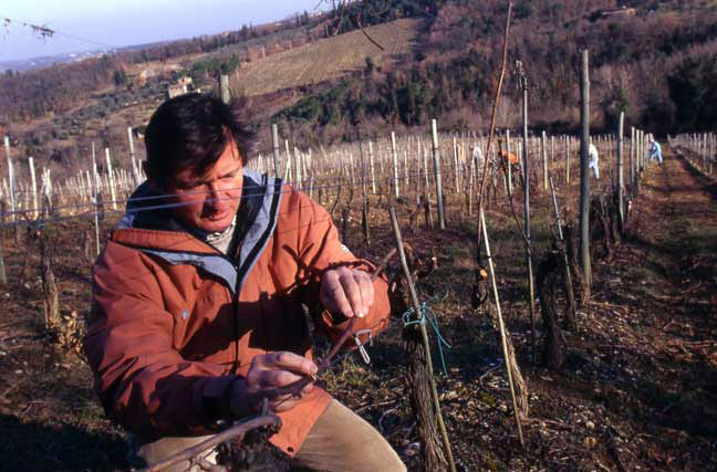 Paolo de Marchi in the vineyards in Chianti