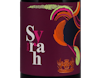 Villa Melnik Syrah 2018 view 2