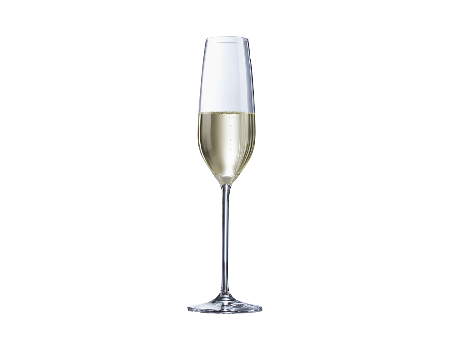 Schott Zwiesel Fortissimo Range Champagne Glass