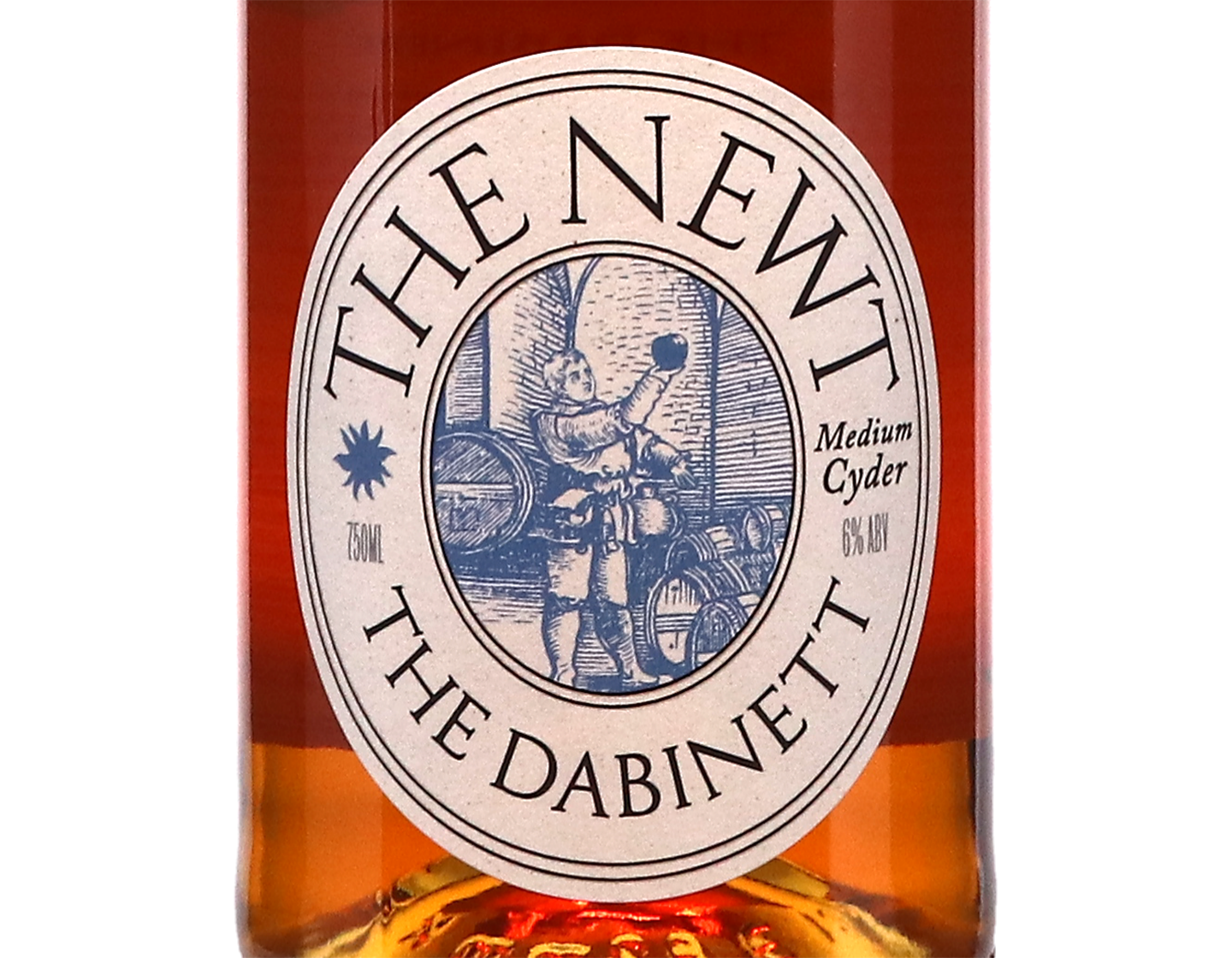 The Newt Dabinett Medium Dry Cyder 2024 Somerset