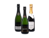 Champagne OR Fizz 3x1 view 1