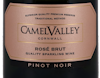 Camel Valley Pinot Noir Rose Brut 2019 view 2