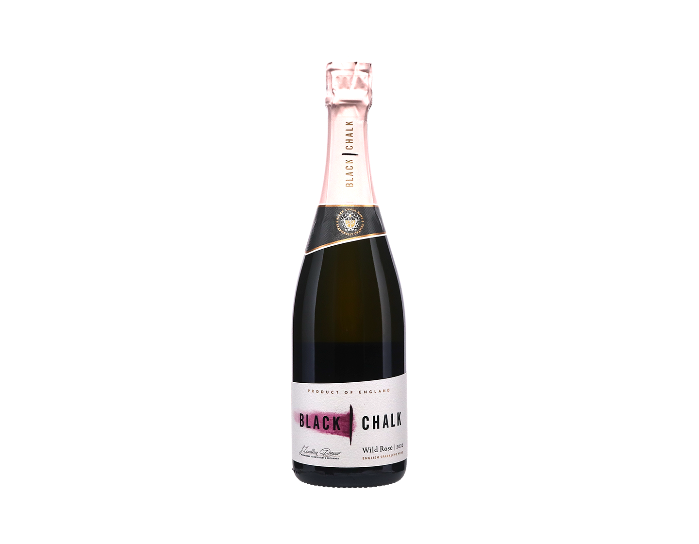 Black Chalk Wild Rose, Hampshire 2022