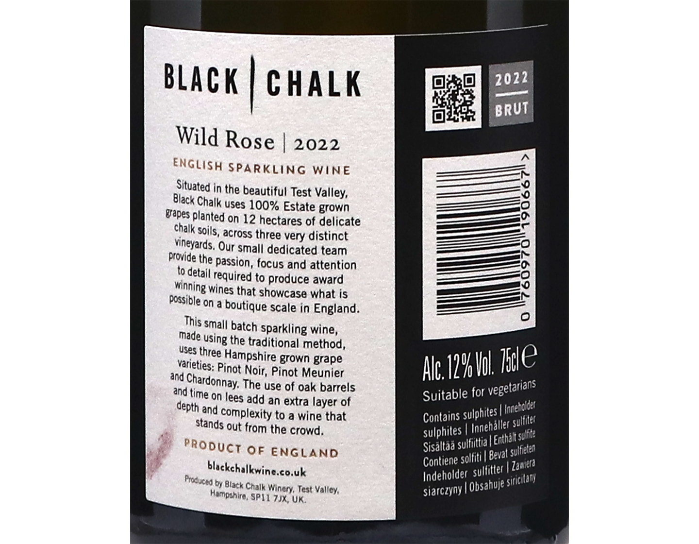 Black Chalk Wild Rose Hampshire 2022