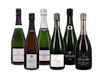 Growers Champagne Case 6x1 view 1