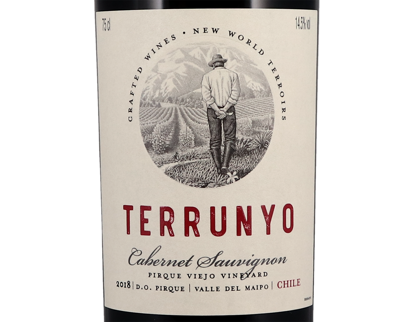 Concha y Toro Terrunyo Maipo Cabernet Sauvignon 2018