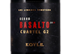 Koyle Cerro Basalto Cuartel G2 Carmenère 2018 view 2