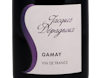 Gamay, Jacques Dépagneux, Vin de France 2020 view 2