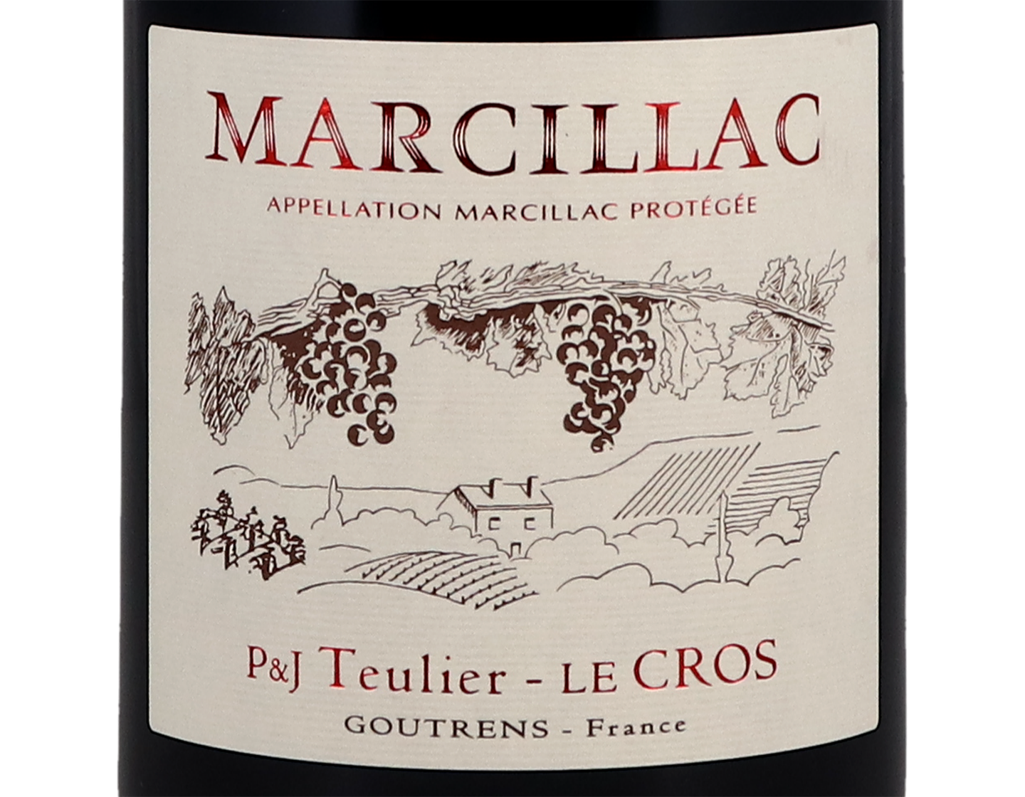 Marcillac Lo Sang del Pais Domaine du Cros 2019