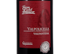 Valpolicella Valpantena Torre del Falasco 2020 view 2