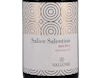Salice Salentino Riserva Vallone 2018 view 2