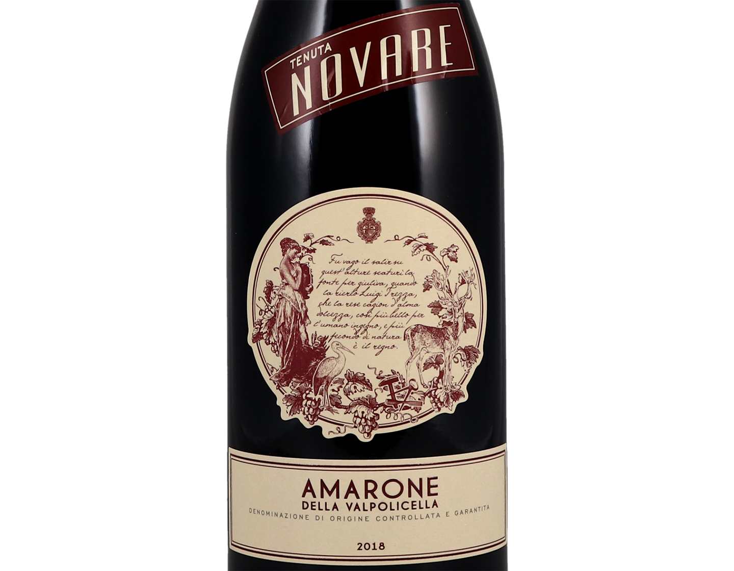 Amarone della Valpolicella Tenuta Novare 2018