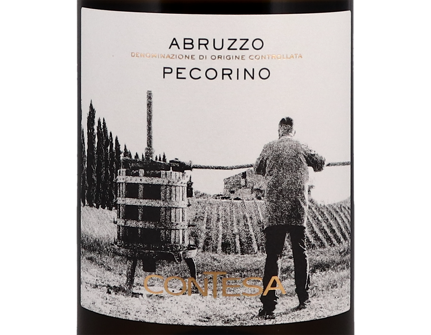Pecorino Abruzzo Contesa 2020