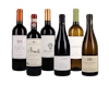 Introduction to Fine Wine Case 6x1 view 1
