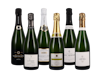 Growers Champagne Case 6x1 view 1