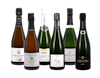 Growers Champagne Case 6x1 view 1