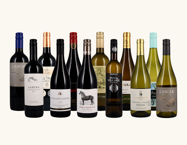 Favourite Reds & Whites For Autumn Case