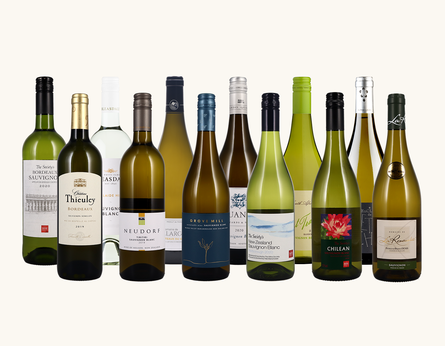 Sauvignon Case - Essentials 12x1