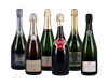 Champagne Savings Case 6x1 view 1