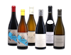 Swartland Revolution Case A 6x1 view 1