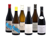 Swartland Revolution Case B 6x1 view 1