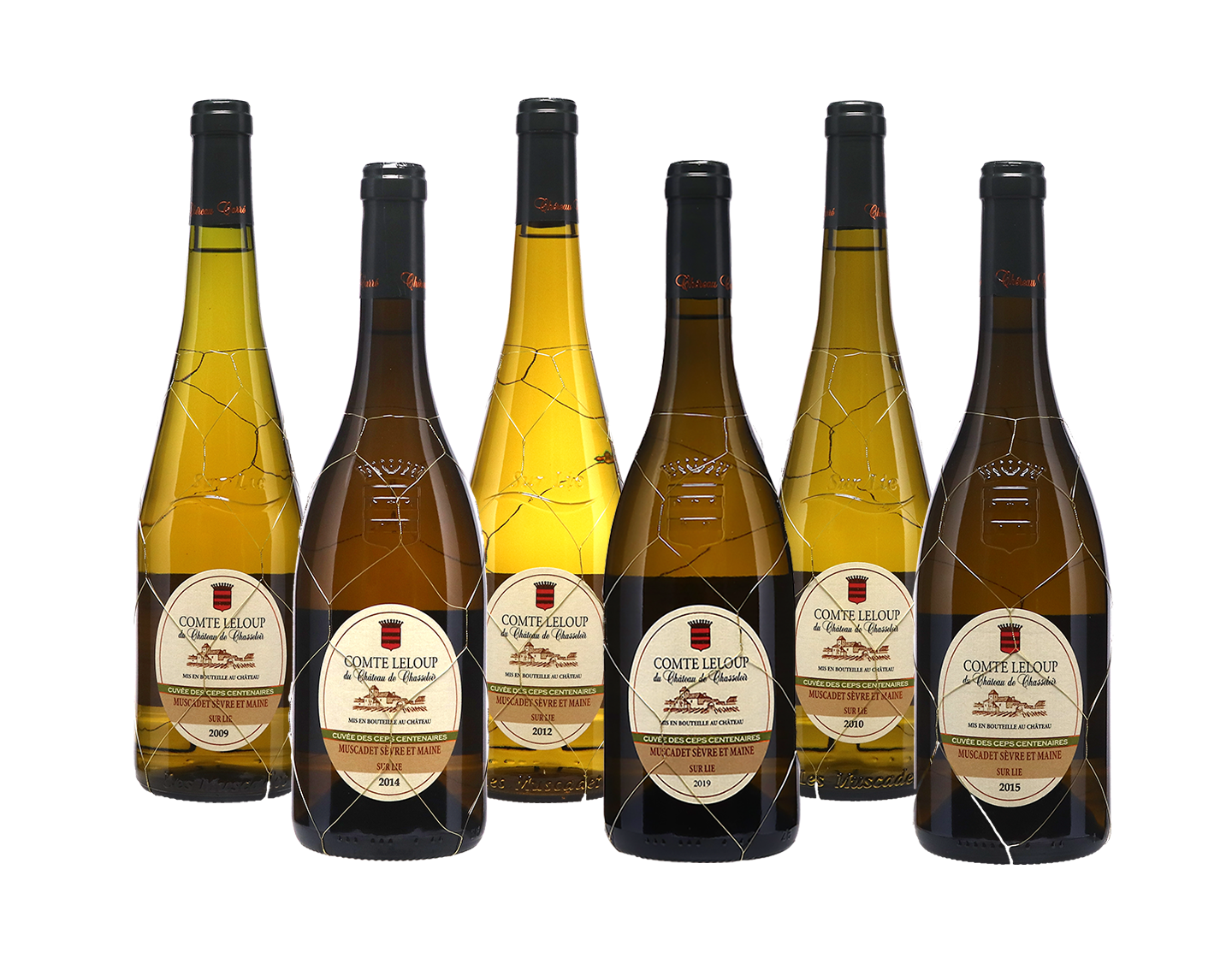 Chateau de Chasseloir Vertical