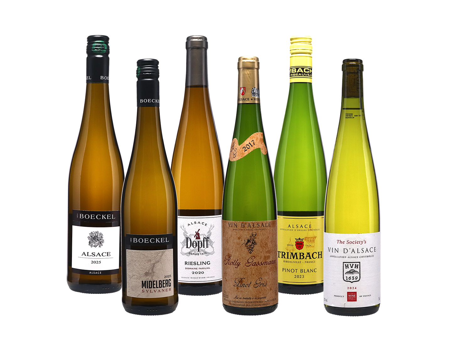 Alsace Spotlight Case