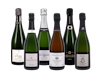 Growers Champagne Case 6x1 view 1