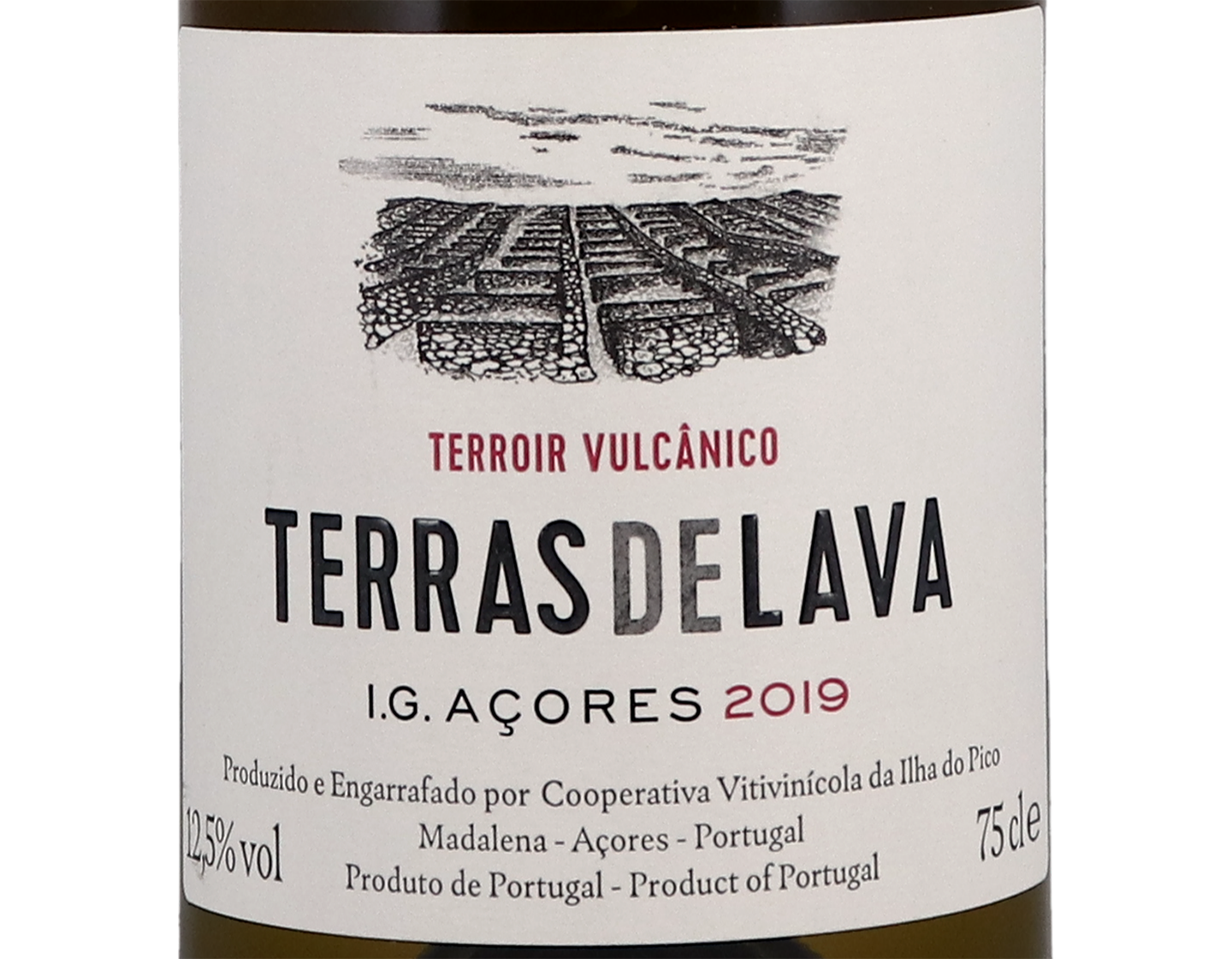Ilha do Pico Terras de Lava Acores 2019