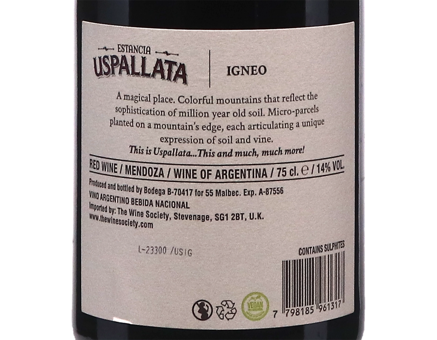 Igneo Uspallata 2020