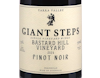Giant Steps Bastard Hill Yarra Valley Pinot Noir 2024 view 2
