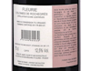 Chateau de Beauregard Fleurie Colonies de Rochegres 2024 view 3