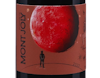 Beaujolais Blace La Pointe Domaine de Mont Joly 2022 view 2